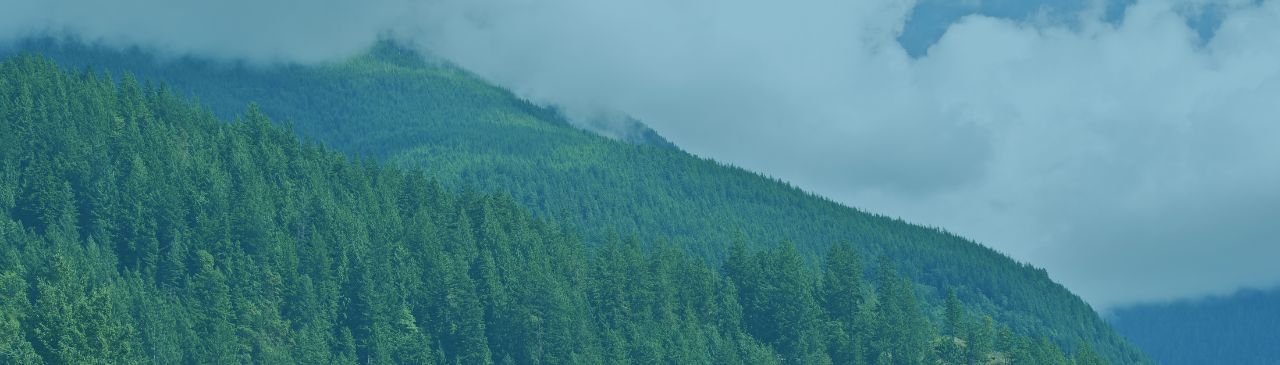 2025 website refresh header social responsibility